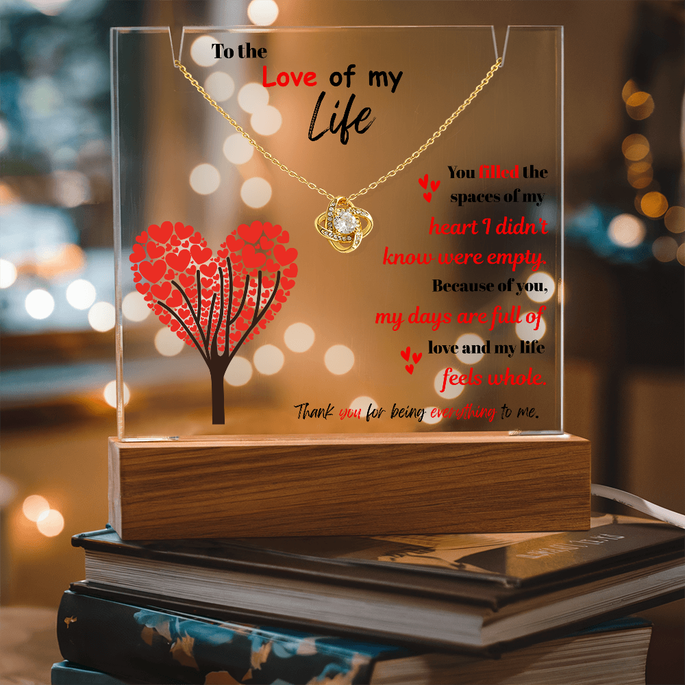 To the Love of my Life - Love Knot Necklace Acrylic combo
