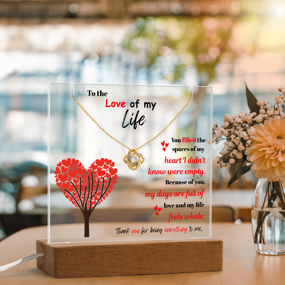 To the Love of my Life - Love Knot Necklace Acrylic combo