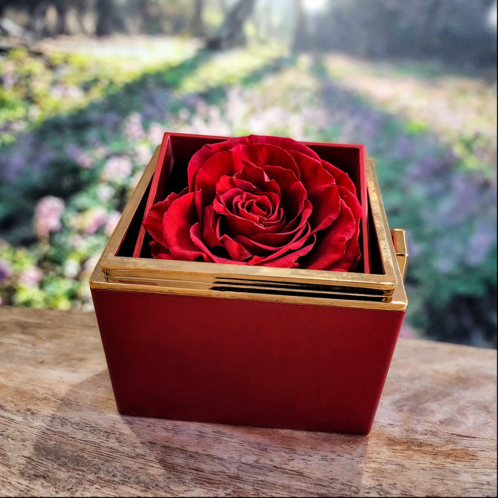 Happy Anniversary Love Knot Necklace in Rose Gift Box- Wife